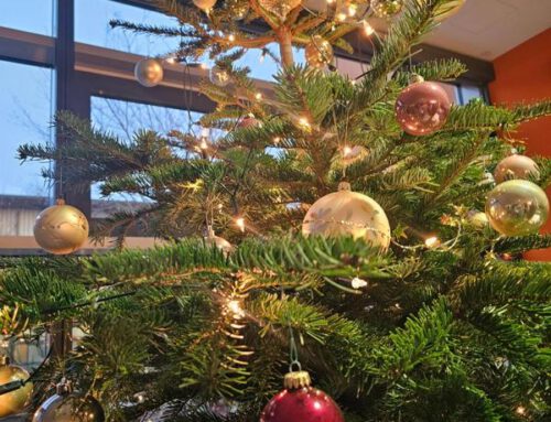 Stimmungsvoller Adventsbasar